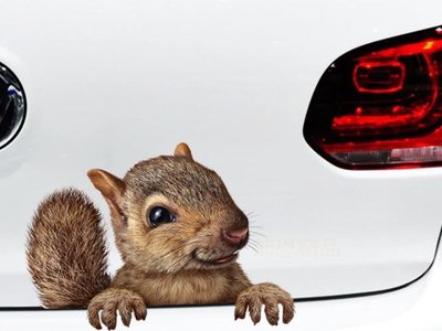 沛恩精品 創意個性3D立體松鼠汽車貼紙 可愛搞怪松鼠貼 個性車貼 車尾貼 適用HONDA CRV FIT HRV