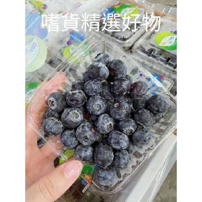 🚩免運批發價 原裝12盒 批發價美國空運藍莓 智利藍莓 秘魯藍莓
