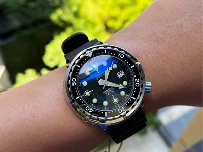 【六樓先生】鯊魚罐頭sharkmaster 大錶徑 自動上鍊機械錶 潛水錶(SBBN015/SBBN017同款)