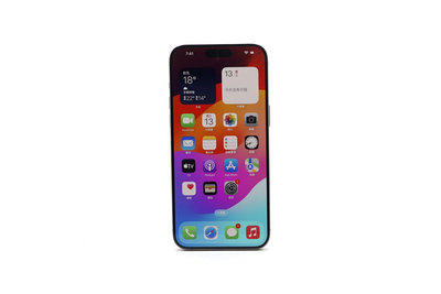 【台中青蘋果】Apple iPhone 15 Pro Max 原色鈦金屬 256G 二手 6.7吋 蘋果手機 #87115