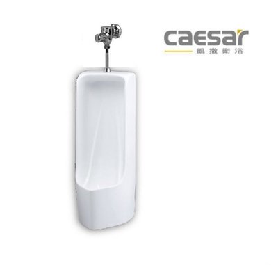【阿貴不貴屋】Caesar 凱撒衛浴 U0296 / BF412G 指壓凡而 落地式便斗 立式小便斗