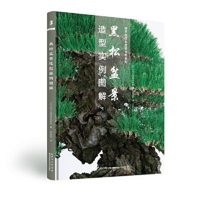 正版 生活 休閒書籍綠手指園藝·黑松盆景造型實例圖解