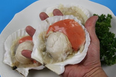 【冷凍貝類】超級大扇貝4 粒 /約 500g~ 每一顆都比手掌心還大~鮮甜的滋味~只有自己能體會~