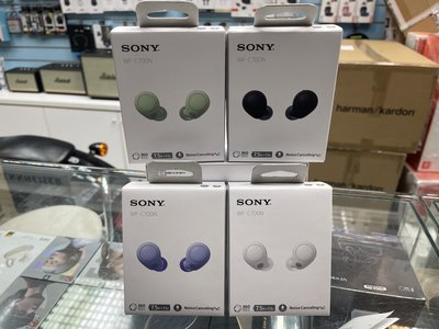 禾豐音響 加送收納盒 SONY WF-C700N 真無線 藍牙 降噪耳機 公司貨