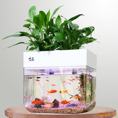 Jackの屋魚花共生系統魚菜共生養花養魚一件式家庭陽臺小魚缸塑膠生態水族箱