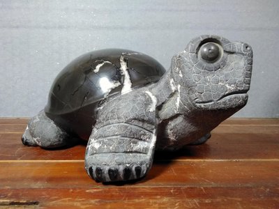 典藏王文圳-黃龜甲石平安大頭龜（大頭家）