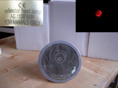 高反射高效能節能保溫燈泡 110V 60w (reflector heat lamp) 歐洲CE認證 品質保證 保溫燈泡