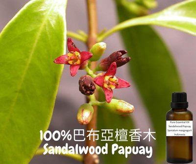 1000ml100%巴布亞檀香木純精油Sandalwood Papuay-Pure Essential Oil