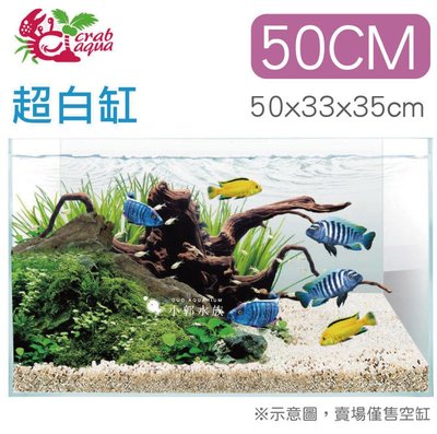 小郭水族-UP小螃蟹系列【超白魚缸50cm（50x33x35cm）】高透明度 魚缸 玻璃
