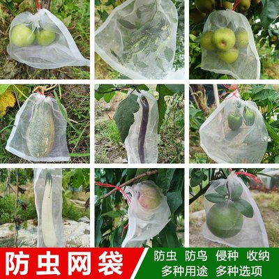 防蟲網袋農用防鳥蟲防果蠅用網果樹保護袋絲瓜無花果葡*特價