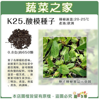 【蔬菜之家滿額免運】K25.酸模種子0.8克(約650顆)(葉子有檸檬的香味,作涼拌菜可以取代醋.香草種子)