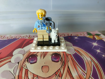 正版樂高人偶 Lego 71013-12 有外袋說明書