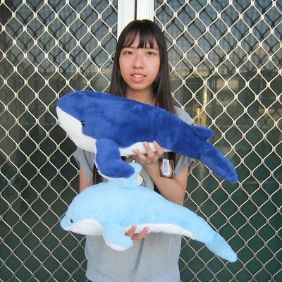 鯨魚 藍鯨 海豚 娃娃 玩偶 長53公分 鯨魚抱枕 海豚抱枕 鯨魚娃娃
