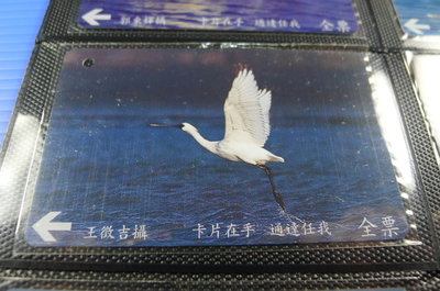 【YUAN】早期台北市公車票卡 編號A0051-4/12 黑面琵鷺 飛躍