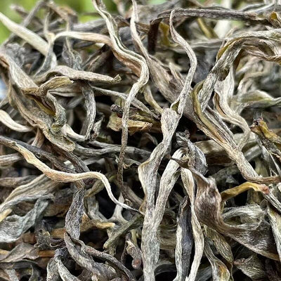 2023年鳳凰窩頭春生態大樹茶云南普洱茶生茶散茶500g茶葉批發