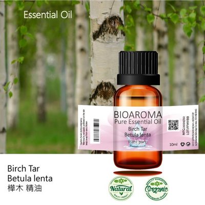 【芳香療網】Birch Tar - Betula lenta 樺木精油 10ml