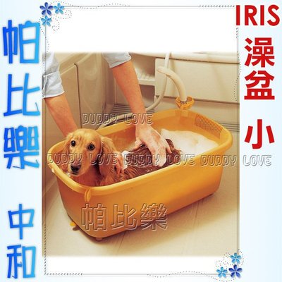 ◇◇帕比樂◇◇日本IRIS精油寵物沐浴盆BO-600E小,澡盆~搭配洗毛精