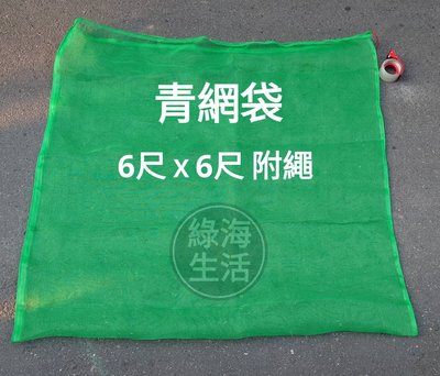 【綠海生活】16目 青網袋( 6尺*6尺,約172*180cm 附繩) 網袋 資源回收袋 防蟲網 保特瓶回收袋 回收網袋