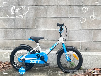 【愛爾蘭自行車】全新 16吋 童車 單車 輔助輪 IRLAND 商品檢驗合格 擋泥板 鍊條護蓋