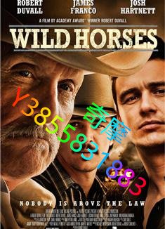 DVD 專賣店 野馬/Wild Horses