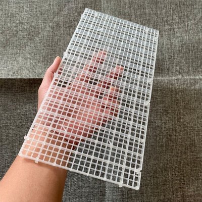促銷 （臺灣）水族隔離板塑料透明網格板底濾板龜缸分隔板可拼接裁剪魚缸隔離網 可開發票