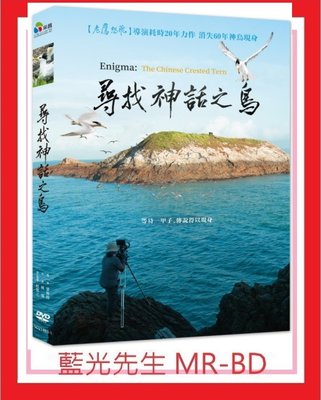 [藍光先生DVD] 尋找神話之鳥 Enigma：The Chinese Crested Tern (采昌正版) 4/22