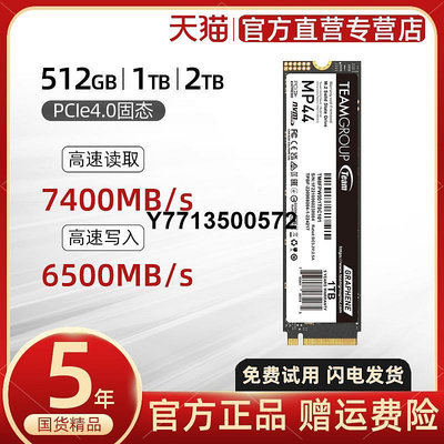 十銓 256G 512G 1T 2T M.2 NVMe固態硬碟PCI-e4.0桌機M2筆電SSD