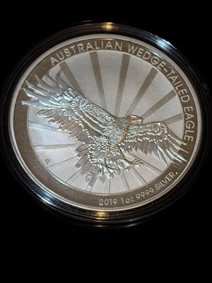 2019 $1 Perth Mint Wedge Tailed Eagle 1oz Silver Coin 1枚 (全新現貨)