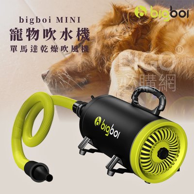 熱賣 寵物單馬達吹風機 bigboi MINI 低噪音 寵物吹水機 吹風機 汽機車可用 恆溫設計 寵物 兩段溫控 家用