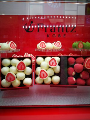 《阿肥小舖》預購 神戶貴婦巧克力🍓Frantz Kobe sweets 法蘭茲 松露草莓巧克力 白巧 紅盒