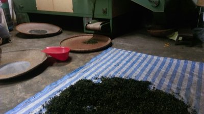 小半天茶葉－杉林溪烏龍包種茶一斤12００