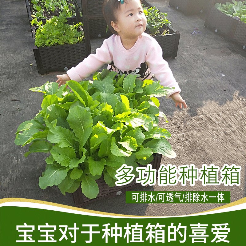 Amas 陽臺蔬菜種植箱家庭菜園花盆專用特大加深長方形花槽陽臺種菜箱 Yahoo奇摩拍賣