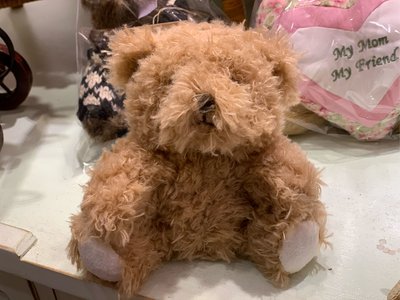 正版法國kaloo棕色熊熊玩偶（不含香水）含外盒