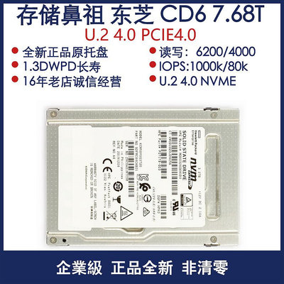 Toshiba/東芝 CD6 7.68T/15.36T U.2 U.3 NVME PCIE 固態硬碟