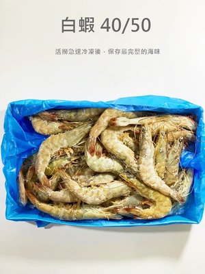 【魚仔海鮮】南美生白蝦40/50 (約36-45隻) 1100公克±5％  冷凍白蝦 冷凍海鮮