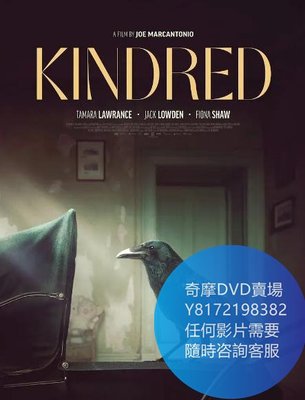 DVD 海量影片賣場 親屬關系/鴉科/Kindred  電影 2020年
