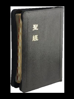 【中文聖經和合本】CU67ZTI 和合本 上帝版 中型 拇指索引 黑色皮面拉鍊金邊