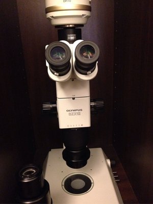 小芸百貨Olympus szx12實體顯微鏡