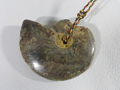 [銀九藝] 古生物 鸚鵡螺化石 項墜 項鍊  (11)