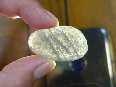 §能量礦石§ 亞利桑那隕石Saffordite Arizona天狼星隕石 重13.00g