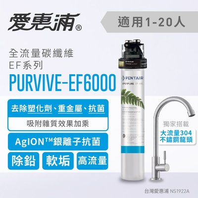 (全省免費原廠安裝) 愛惠浦 Everpure PurVive-EF6000 全流量型