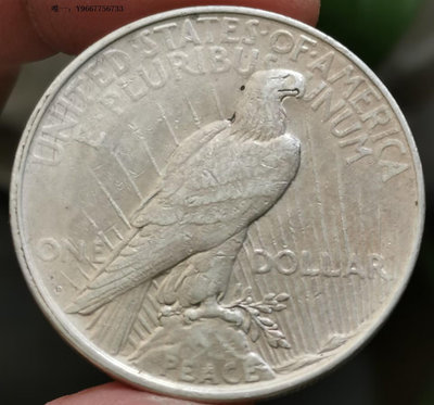 銀幣H13--1922年美國1元和平銀幣
