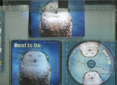JINGO 西洋專輯-Heat Is On 發燒專門店 (CD) 2001 附 16首首選燒貨故事手冊