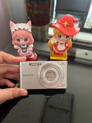 [相機]索尼/Sony DSC-W830 真的超級出片 成色