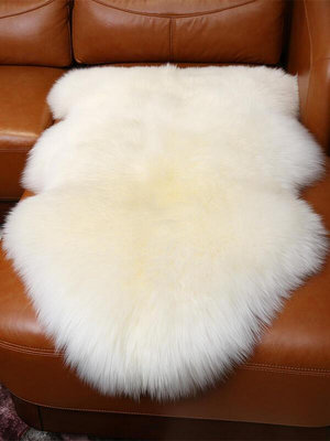 澳洲整張羊皮毛一體床邊毯沙發飄窗墊客廳臥室加厚長羊毛地毯