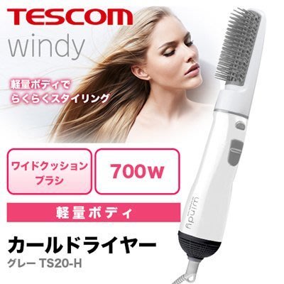日本 TESCOM 電捲吹風機 TS20 負離子整髮器 吹風機 梳子 直捲髮 整髮吹風機 造型 髮廊美髮整髮器【全日空】