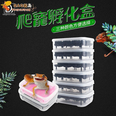 爬寵 蜥蜴壁虎孵化盒大容積透明爬蟲孵化盒塑膠孵化盆廠家批發-QAQ囚鳥V