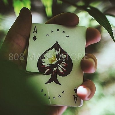 [808 MAGIC]魔術道具 Carpe Noctem Playing Cards