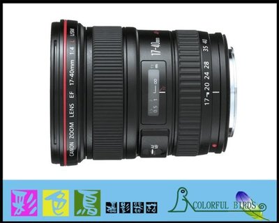 彩色鳥 (相機出租 租鏡頭)租 Canon EF 17-40mm f4L USM