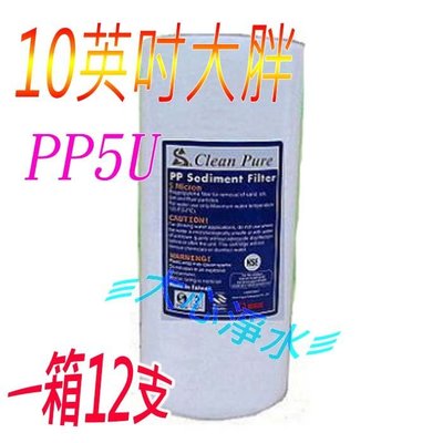 ≡大心淨水≡【一箱12支】Clean Pure 10英吋大胖PP5微米濾心~NSF認證